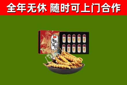 端州烟酒回收冬虫夏草礼盒.jpg