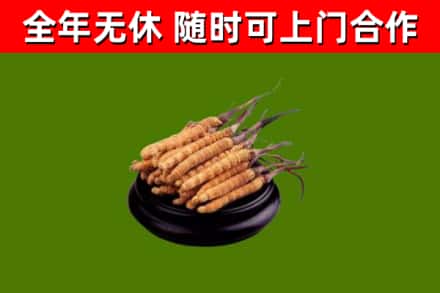 端州烟酒回收冬虫夏草.jpg